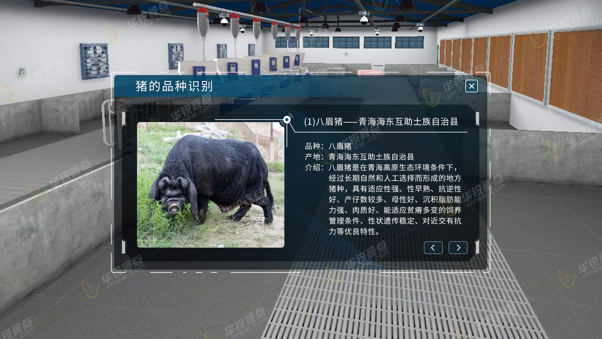 猪养殖金年会
虚拟仿真实训软件